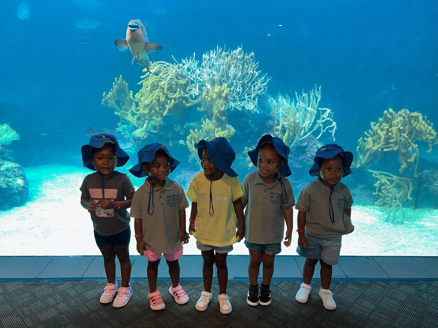 Five preschool children wearing matching blue sun hats and grey Happy Moments polo shirts standing in a row in front of a large aquarium tank